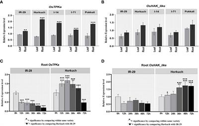 Functional genomic analysis of K+ related salt-responsive transporters in tolerant and sensitive genotypes of rice